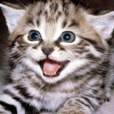 สมาชิกหมายเลข 812417