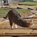 สมาชิกหมายเลข 2641742