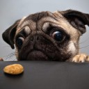 สมาชิกหมายเลข 2454342