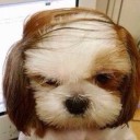 พิณแคนแดนอิสาน