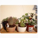 สมาชิกหมายเลข 1274737