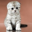 สมาชิกหมายเลข 3506658