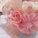 สมาชิกหมายเลข 1417745