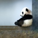 สมาชิกหมายเลข 1811866