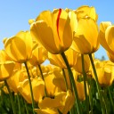 สมาชิกหมายเลข 1542558