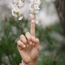 สมาชิกหมายเลข 1908141