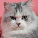 สมาชิกหมายเลข 2210622