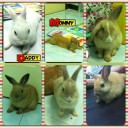 สมาชิกหมายเลข 1011022