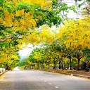 สมาชิกหมายเลข 3053847