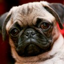 สมาชิกหมายเลข 2896278