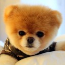 สมาชิกหมายเลข 949761