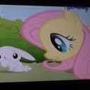 สมาชิกหมายเลข 1294605