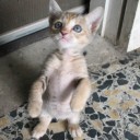 สมาชิกหมายเลข 1080647