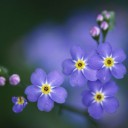 สมาชิกหมายเลข 1842919