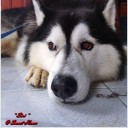 สมาชิกหมายเลข 897653