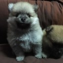 สมาชิกหมายเลข 3499600