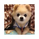 น้องหง่อง