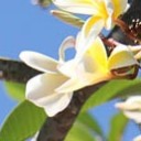 ตั้งชื่อว่าไงดี