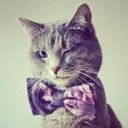 สมาชิกหมายเลข 867451