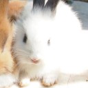 เซเลอร์มูน สะพานใหม่