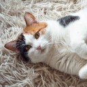 อารมณ์ไม่ได้ดีเหมือนหน้าตา