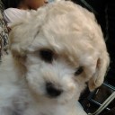 ตึงกล้ามเนื้อ