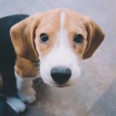 สมาชิกหมายเลข 1651961