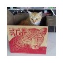 สมาชิกหมายเลข 1772212