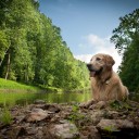 สมาชิกหมายเลข 2253046