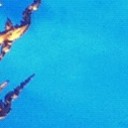 สมาชิกหมายเลข 763021