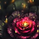 สมาชิกหมายเลข 1844366