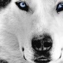 สมาชิกหมายเลข 1013172