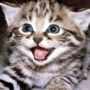 สมาชิกหมายเลข 1420700