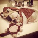 สมาชิกหมายเลข 1843292