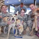 สมาชิกหมายเลข 2174878