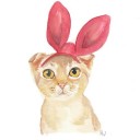 สมาชิกหมายเลข 1630207