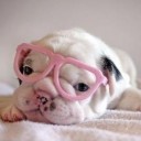 สมาชิกหมายเลข 784979