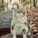 สมาชิกหมายเลข 1421042