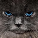 สมาชิกหมายเลข 1845999