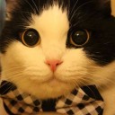 สมาชิกหมายเลข 1839141