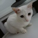 สมาชิกหมายเลข 855093