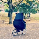 สมาชิกหมายเลข 1740554