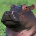 สมาชิกหมายเลข 3518274