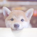 สมาชิกหมายเลข 3518333