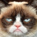 สมาชิกหมายเลข 2254709