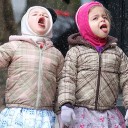 สมาชิกหมายเลข 1014477