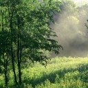 สมาชิกหมายเลข 1422344