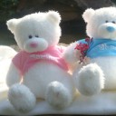 สมาชิกหมายเลข 2255054