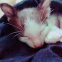 ไอติมอบชีส