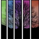 สมาชิกหมายเลข 1015054